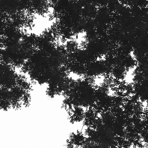 有一个老太婆和小伙子黄色毛片演一个有一个小伙子黄色毛片
