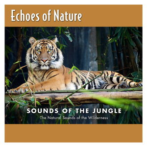 有一个老太婆和小伙子黄色毛片演一个有一个小伙子黄色毛片
